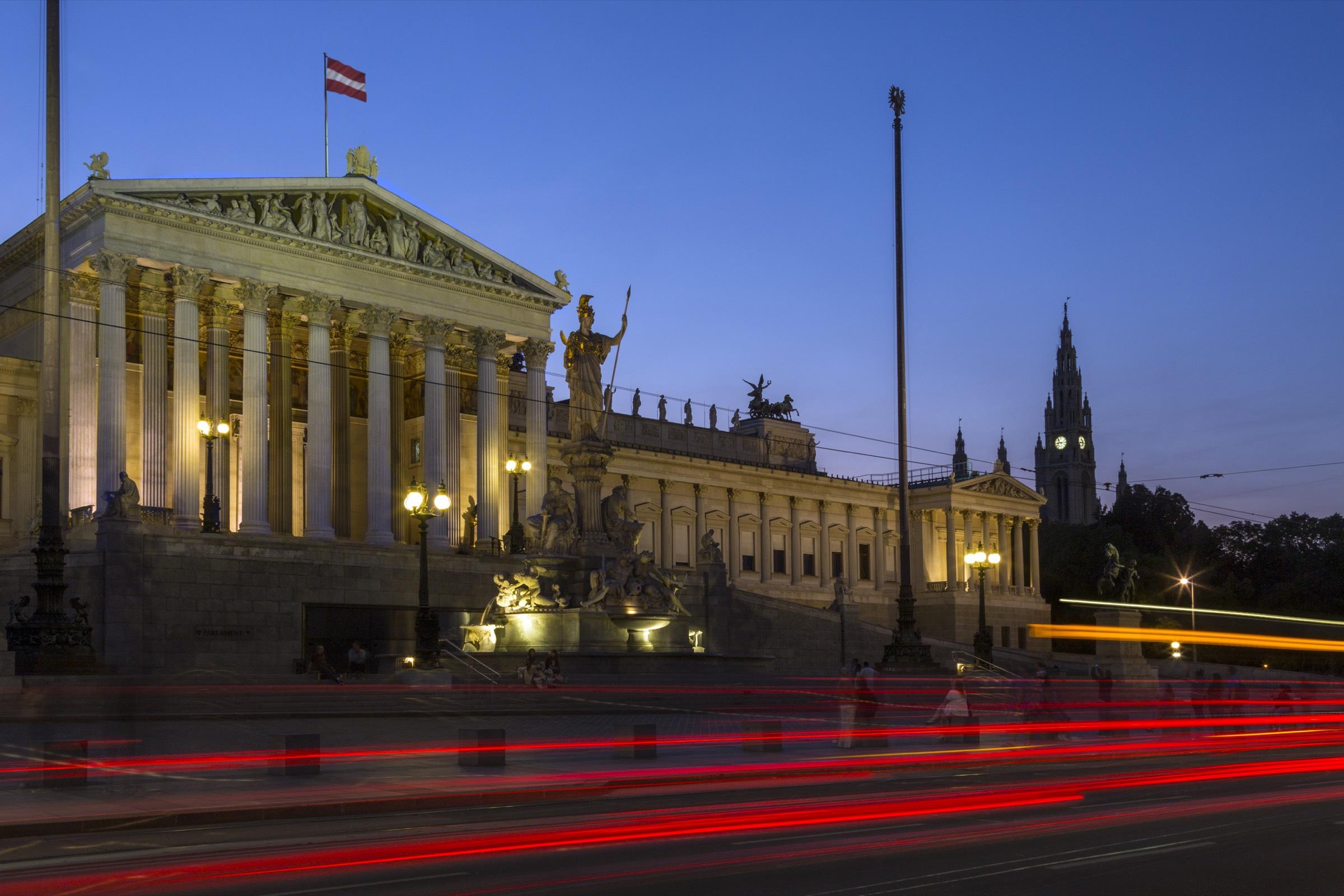 Government & International Tender Consulting